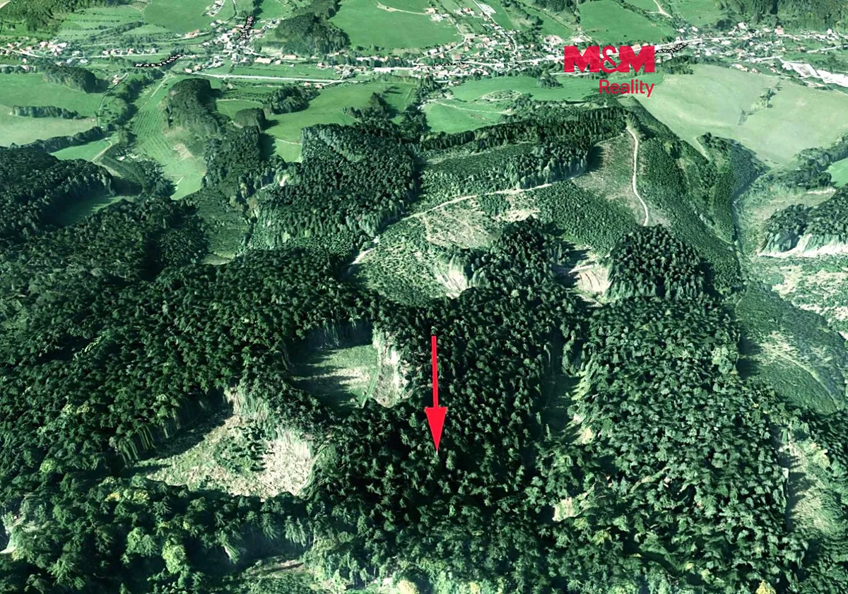 Prodej lesa 16820 m²